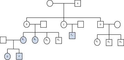 Case Report: Multiple colorectal cancers in a patient with Ulcerative colitis and Lynch syndrome: Is there a role for prophylactic colectomy? A short report and review of literature